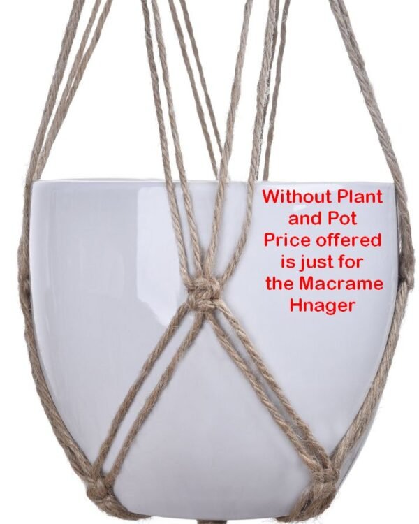 Jute Macramé Pair: Handmade Double Planters - Image 3