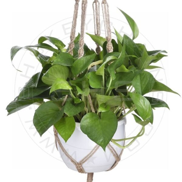"Jute Macramé: Handmade for One Planter" - Image 2